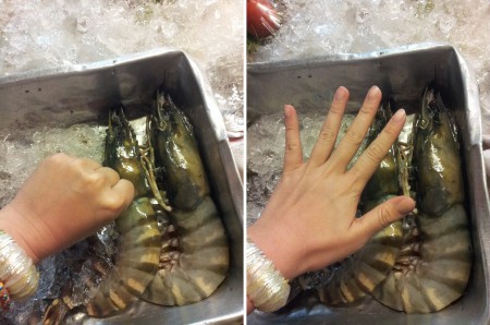 shrimp in lobster-habit