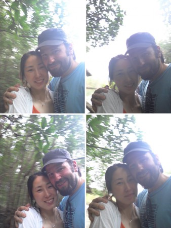 mangrove forrest