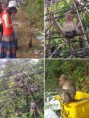 /album/thailand2/a1111-jpg1/