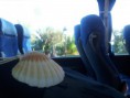 /album/spain/a20131102-103856-jpg/