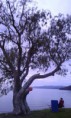 /album/newzealand/a20140607-171846-jpg/