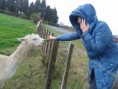 /album/newzealand/a20140920-115433-jpg/