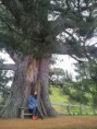 /album/newzealand/a20140921-155931-jpg/
