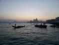/album/photo-gallery-venice-2016/a20151229-164801-jpg/